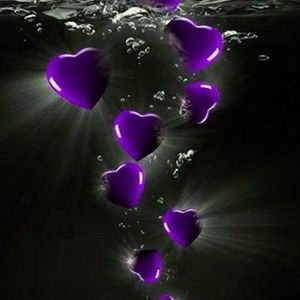 Meet your Posher, Shonda